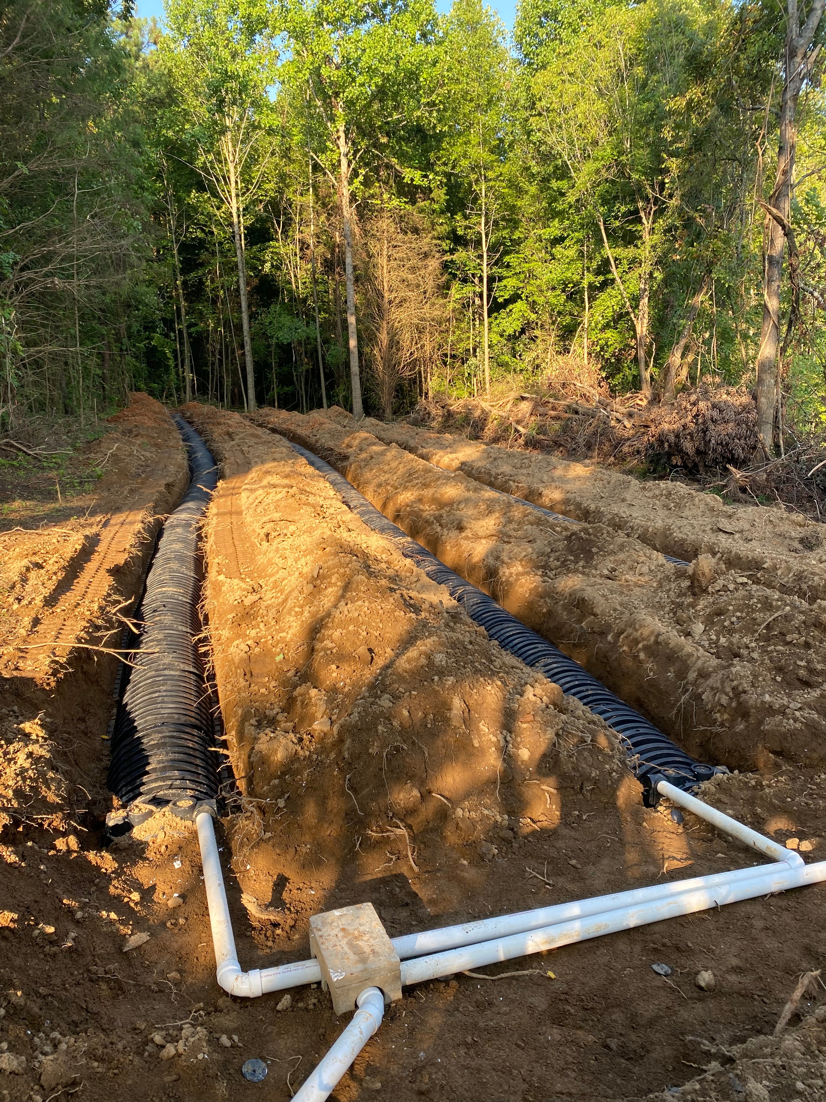Septic drain field installation